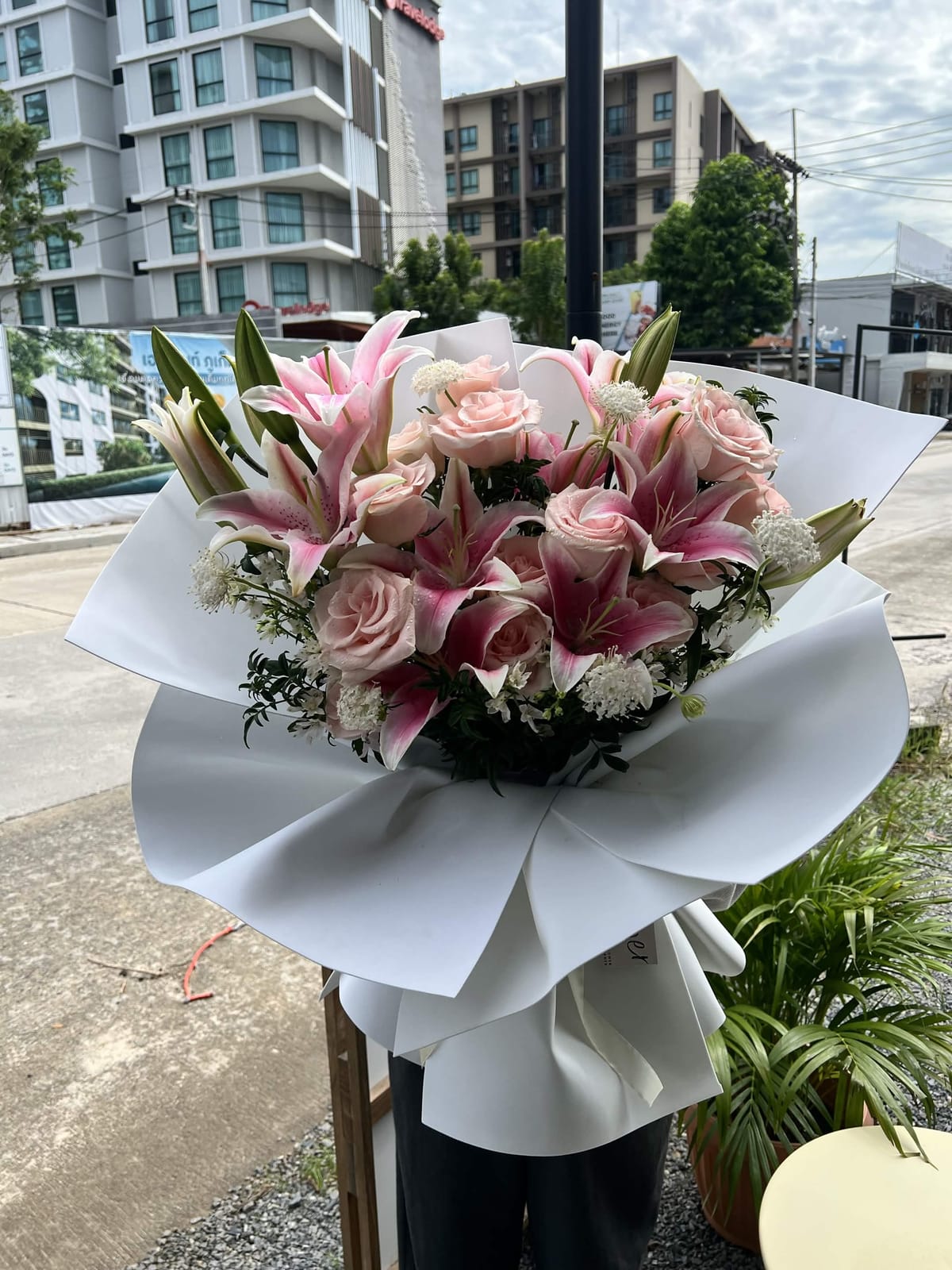 Orchid arrangement