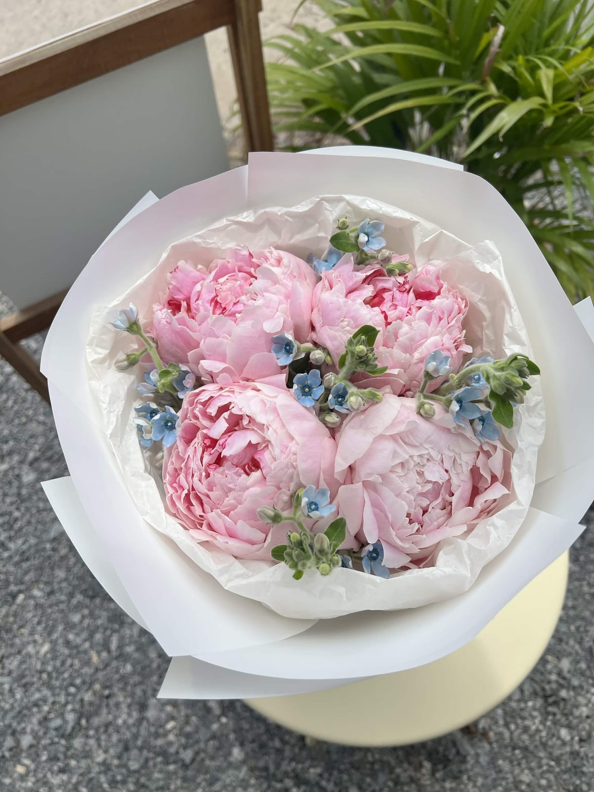 Elegant white flowers